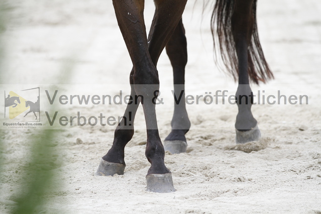 _MG_5039 | equestrian-live-com