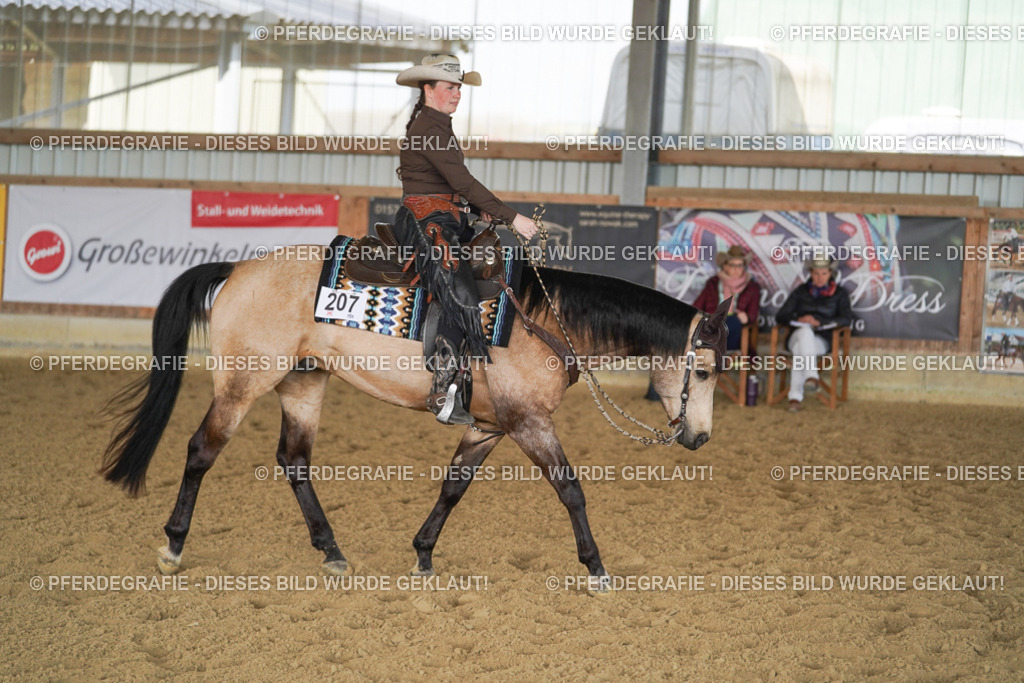 DSC00157 | Pferdegrafie