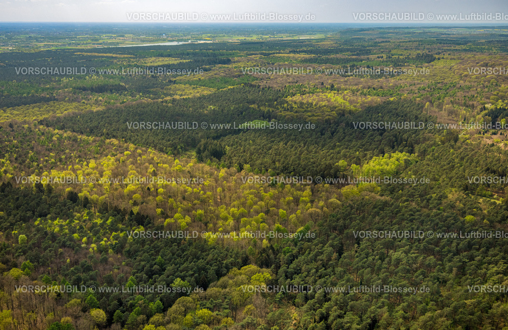 Kleve240402533KleverReichswaldForestWarCemetery | Luftbild, Reichswald Forest War Cemetery, britischer Militärfriedhof Ehrenfriedhof und Kriegsgräberfriedhof, Mischwald Waldgebiet, Materborn, Kleve, Niederrhein, Nordrhein-Westfalen, Deutschland