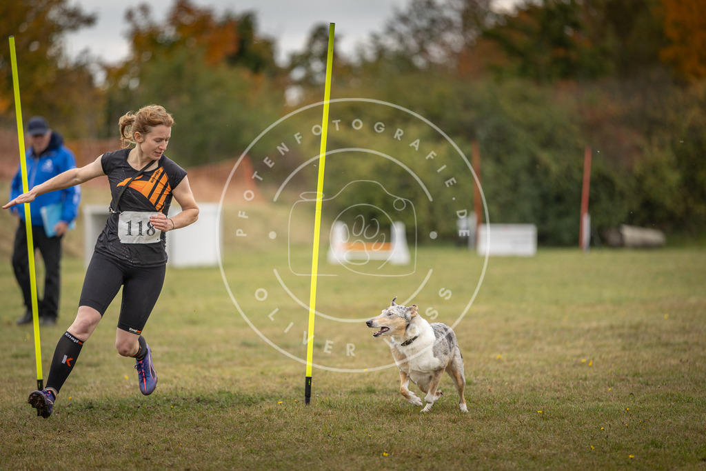 Pfotenfotografie_DV3A7571 | Hundefotografie, Tierfotograf, Pfotenfotografie, Fotoshooting Hund, Hunde Portrait, Hundesport, Hundeportraits, Heideshooting, Hunde, Sportfotograf, Hundefotograf, Turnierhundsport, THS,  - Realisiert mit Pictrs.com