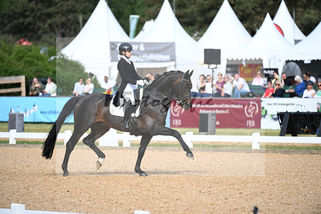 Fircks_Nymphenburgs Finest Ampere_11252095 | hf-fotografie - Realisiert mit Pictrs.com