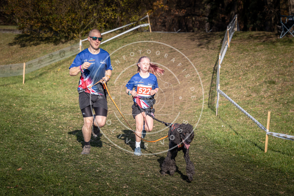 CaniXpix_0L8A8724 | Hundefotografie, Tierfotograf, Pfotenfotografie, Fotoshooting Hund, Hunde Portrait, Hundesport, Hundeportraits, Heideshooting, Hunde, Sportfotograf, Hundefotograf, Turnierhundsport, THS,  - Realisiert mit Pictrs.com
