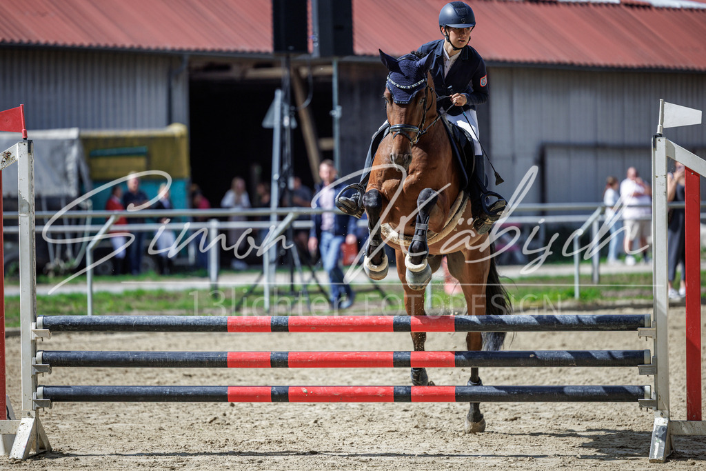 20260905-_3LI8592 | Tierfotografie Pferde, Hunde, Katzen, Haustiere.
Turnierfotografie Reitturniere, Reiten, Springreiten, Dressur in Hanau, dem Main-Kinzig-Kreis und dem Rhein-Main- Gebiet um Frankfurt