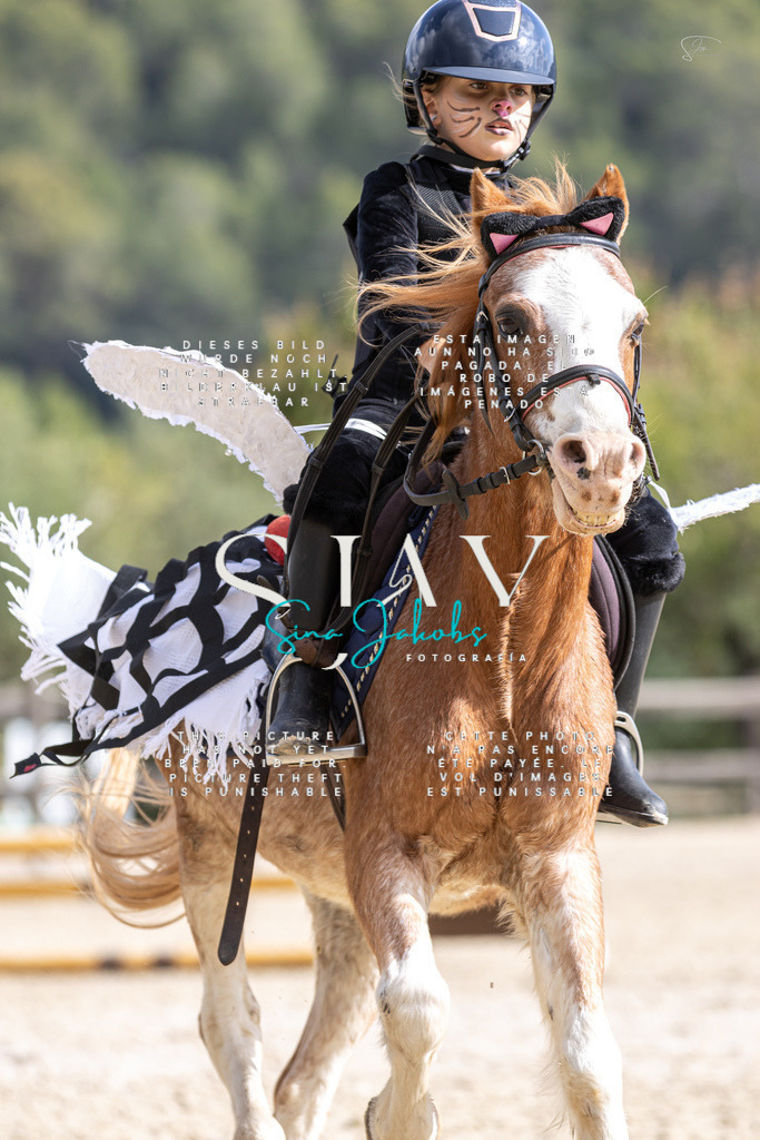 IMG_2173 | s-jay-photography - Realisiert mit Pictrs.com