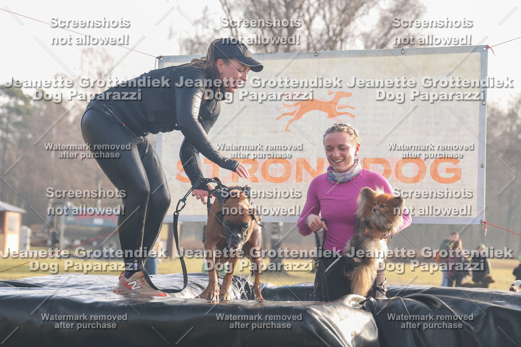 Dog Paparazzi - SD North 0326 900930-54 | Dog Paparazzi Jeanette Grottendiek Fotografie & Videografie - Realisiert mit Pictrs.com