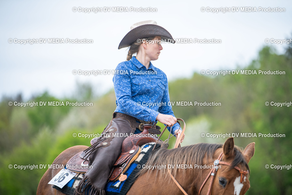 Heiligenwald Tag 1-1916 | dv-media-shop - Realisiert mit Pictrs.com