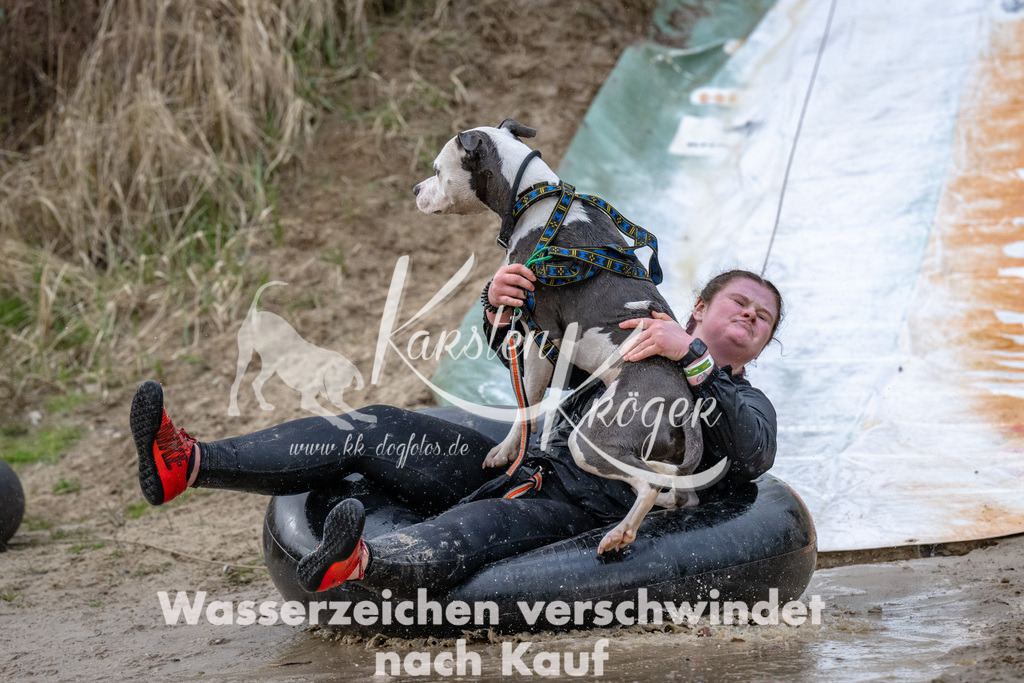 1533_ZZ94440 | kk-dogfotos