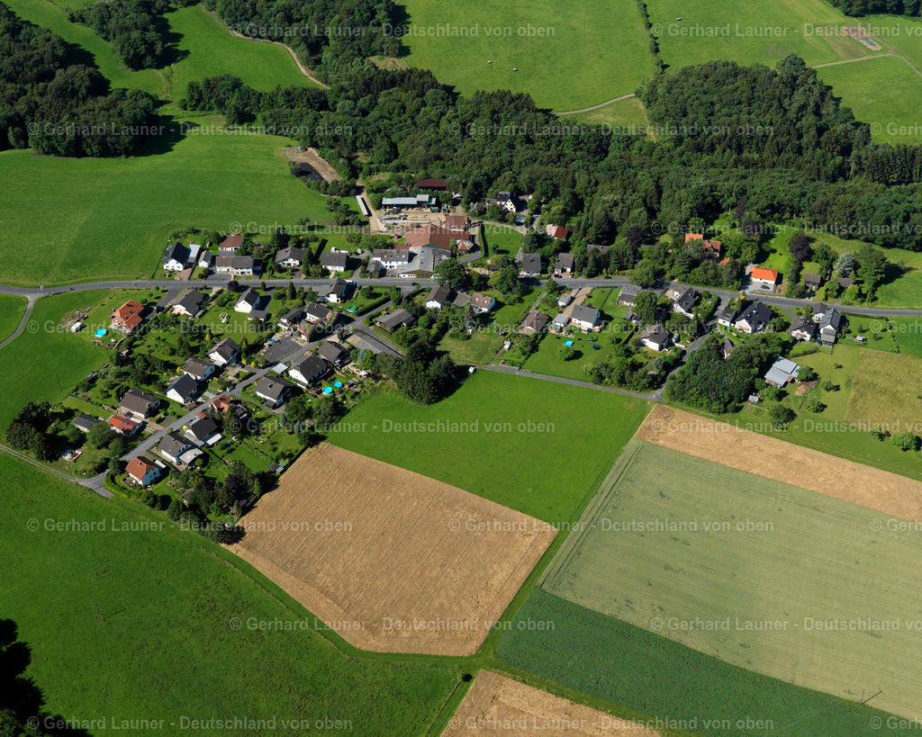 3120042 | Hammelshahn