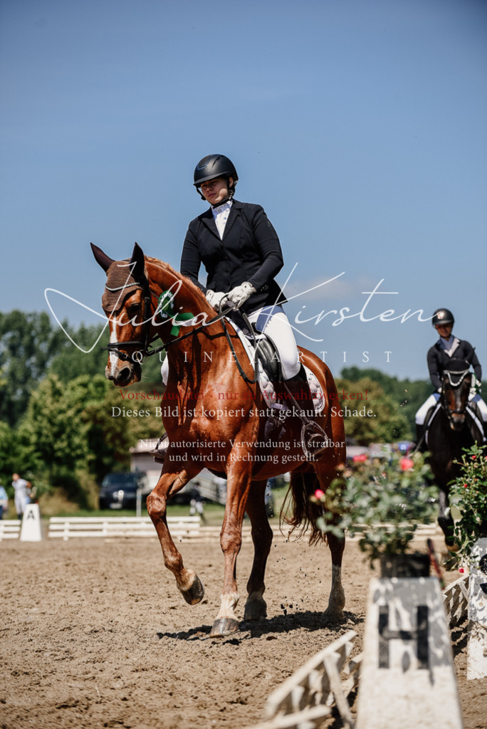 DSC_2083 | Pferde- und Turnierfotografie in Westsachsen. Pferdeportraits, Auftragszeichnungen und intuitive Kunst.