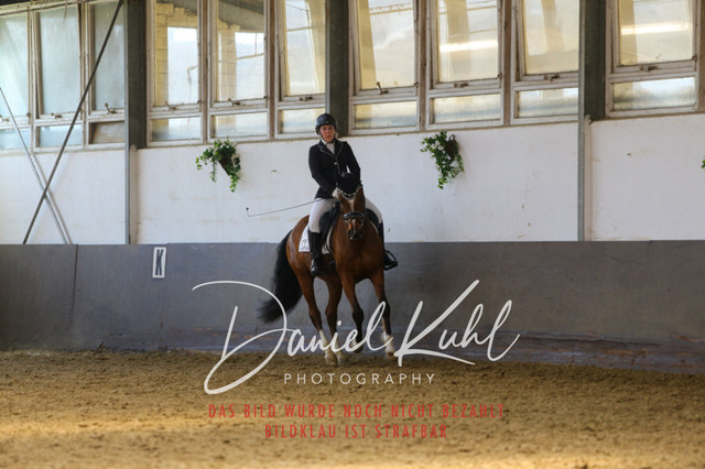 IMG_2864 | Turniersportfotografie; Pferdefotografie; Dressurfotografie