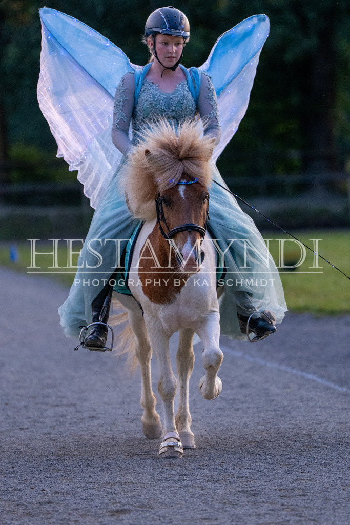 KAI07451 | Ihr sucht einen Fotografen für eure nächste OSI? Ich begleite auch euer Turnier für Islandpferde fotografisch.  - Realisiert mit Pictrs.com