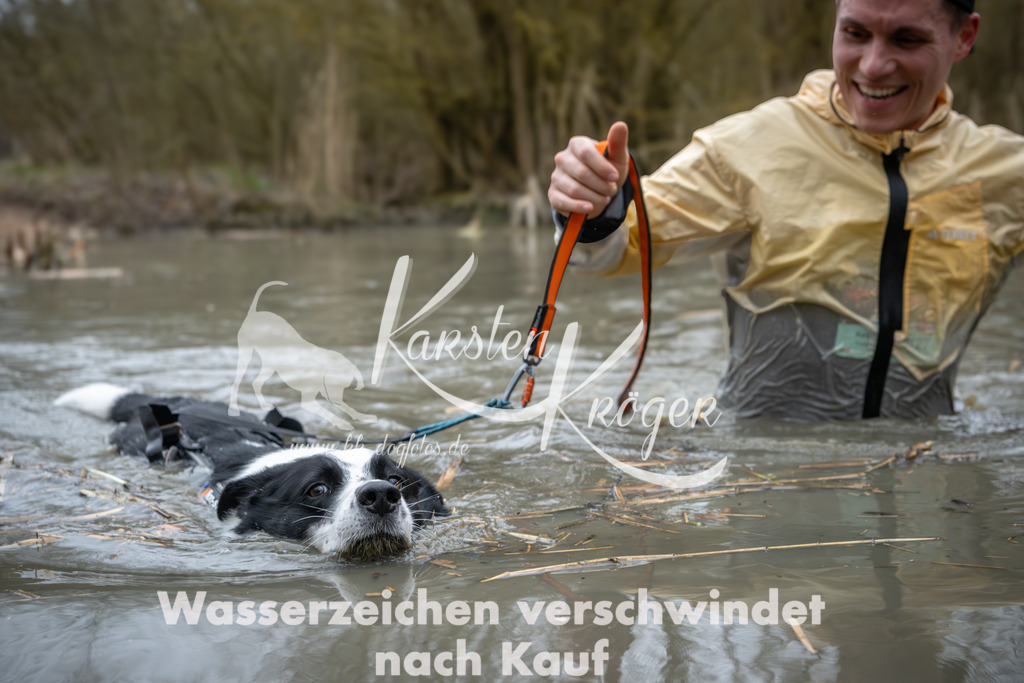1333_ZZ90399 | kk-dogfotos