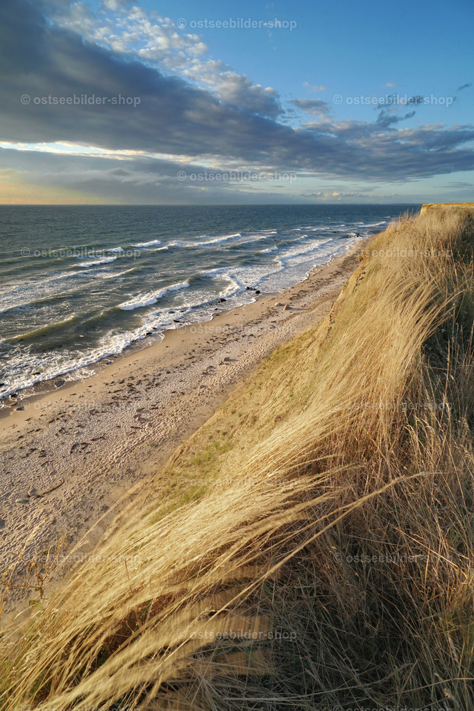 Gräser an der Kliffkante  | Gräser an der Uferkante bewegen sich im Herbstwind.