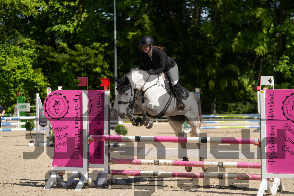 DSC02172 | Julian Held Fotografie - Realisiert mit Pictrs.com