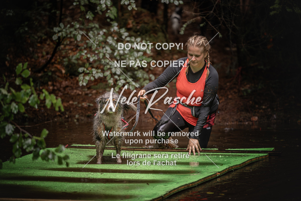 nelerasche_Wingst_Sa1330-1400_274 | nelerasche