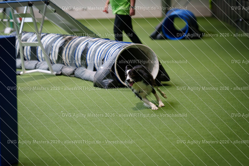 allesWIRTHgut_Tierfotografie-DVG_Agility_Masters_2026-15_06-7R502051 | Professionelle Tierfotografie in Mönchengladbach von Daniel Wirth (allesWIRTHgut). Liebevolle & natürliche Bilder von Hunden & Katzen für unvergessliche Erinnerungen.