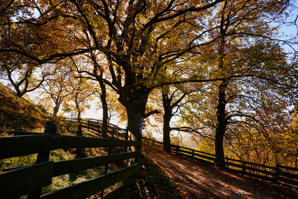 Weg zur Ruine Falkenstein | Falkenstein, Austria - October 24, 2015: Weg zur Ruine Falkenstein. - Realisiert mit Pictrs.com