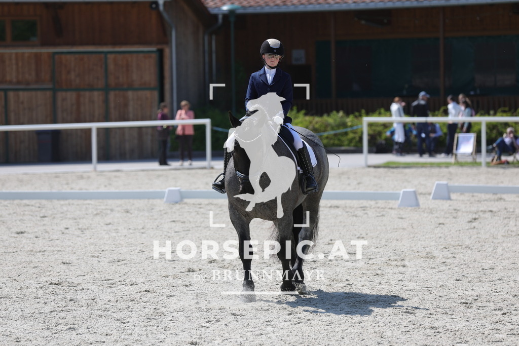 0P6A2218 | Willkommen bei Brunnmayr - Design & Fotografie – Ihrem Spezialisten für Reitturniere und Pferdeveranstaltungen in Oberösterreich, Salzburg und Bayern! Seit über 17 Jahren sind wir leidenschaftlich dabei.