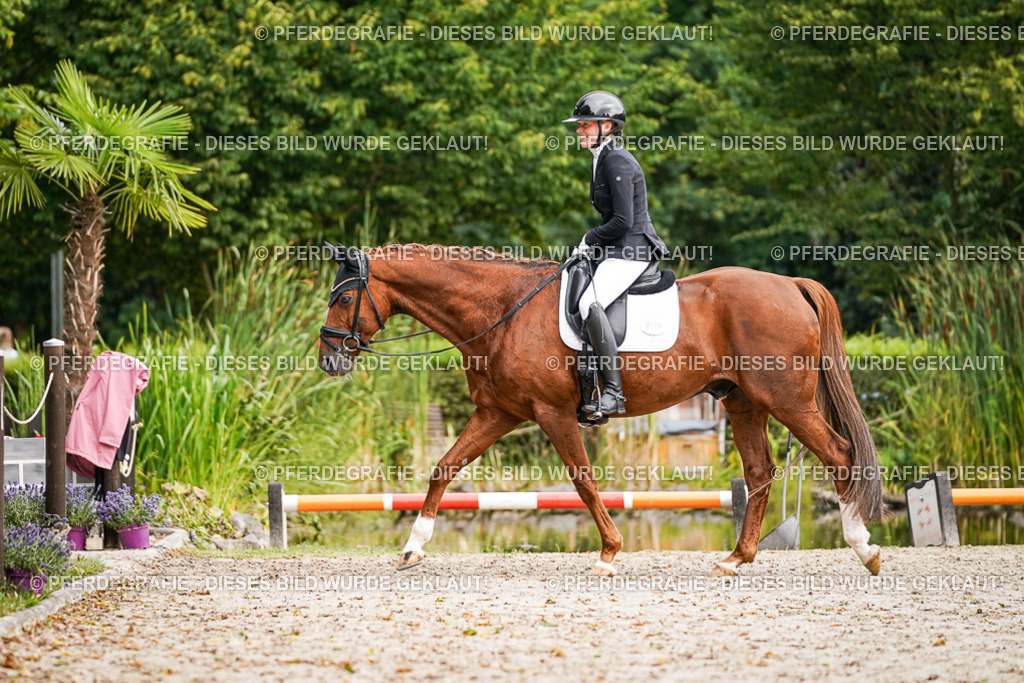 DSC01326 | Pferdegrafie