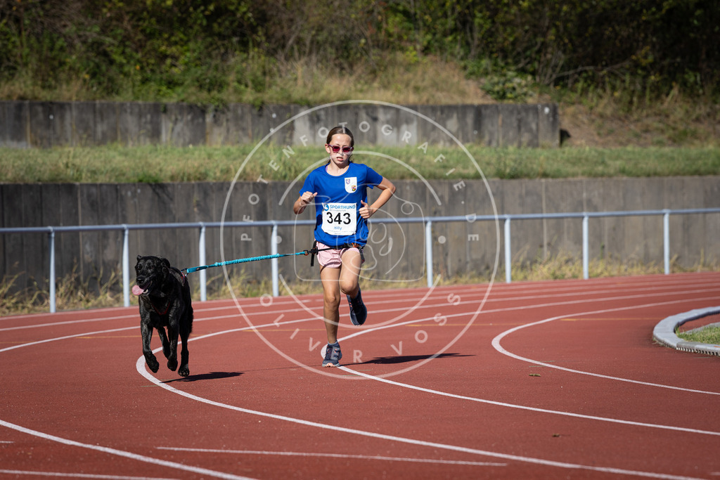Pfotenfotografie_DV3A8621 | Hundefotografie, Tierfotograf, Pfotenfotografie, Fotoshooting Hund, Hunde Portrait, Hundesport, Hundeportraits, Heideshooting, Hunde, Sportfotograf, Hundefotograf, Turnierhundsport, THS,  - Realisiert mit Pictrs.com