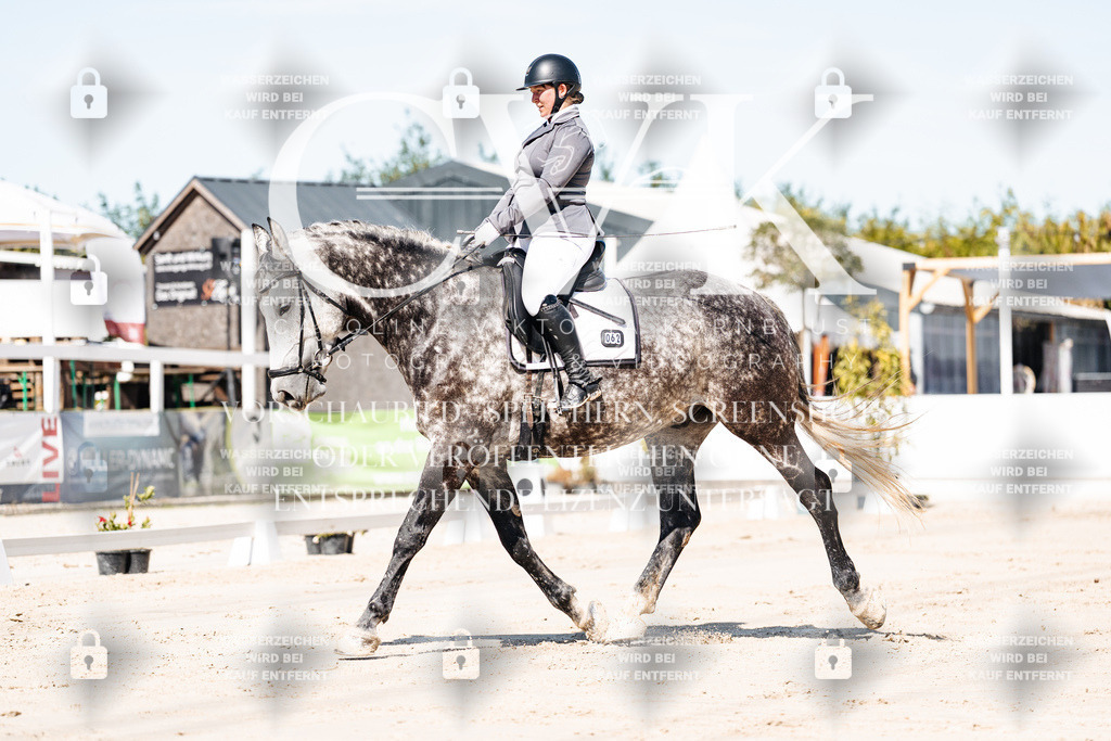 CK908995 | Turnierfotografie Pferdefotografie Trier Rheinland-Pfalz Pferdesport Reitsport Tierfotografie Sportfotografie Pferdevideo Pferdevideografie Equestrianvideography equestrianphotography  - Realisiert mit Pictrs.com