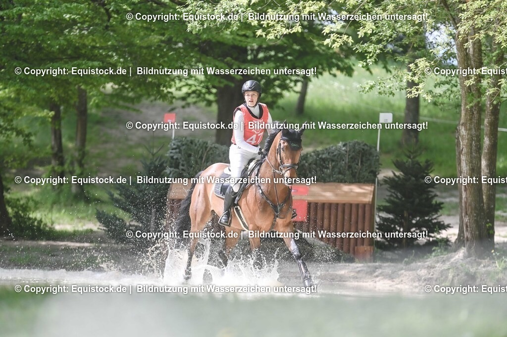 20250517_CCI2_Gelände_1200 | Foto: Thomas Hartig