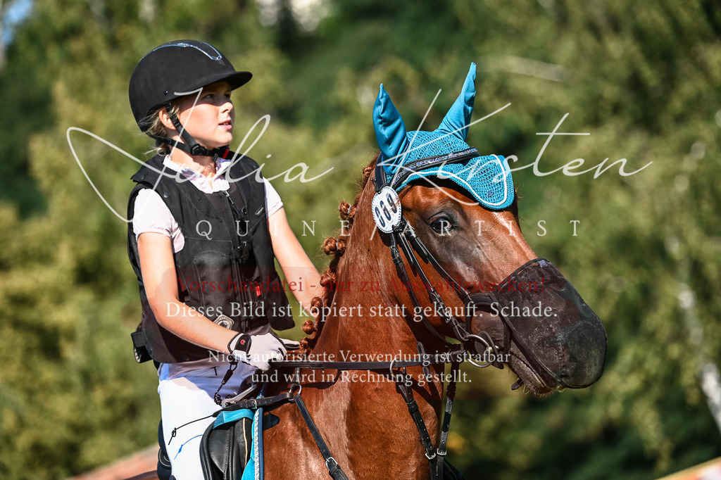 DSC_5320 | Pferde- und Turnierfotografie in Westsachsen. Pferdeportraits, Auftragszeichnungen und intuitive Kunst.