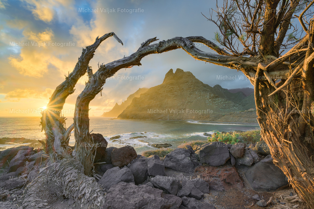 Punta del Hidalgo | Punta del Hidalgo, ein malerischer Küstenort im Norden Teneriffas, ist bekannt für seine wilden Atlantikwellen und das beeindruckende Anaga-Gebirge. Besucher können hier in das entspannte kanarische Leben eintauchen und die einzigartige Kombination aus Bergpanorama und Meeresblick genießen. Mit einer Vielzahl von Aktivitäten, von Wandern bis hin zu sicheren Badeerlebnissen in natürlichen Meerwasserpools, bietet Punta del Hidalgo eine ideale Mischung aus Entspannung und Abenteuer. - Realisiert mit Pictrs.com