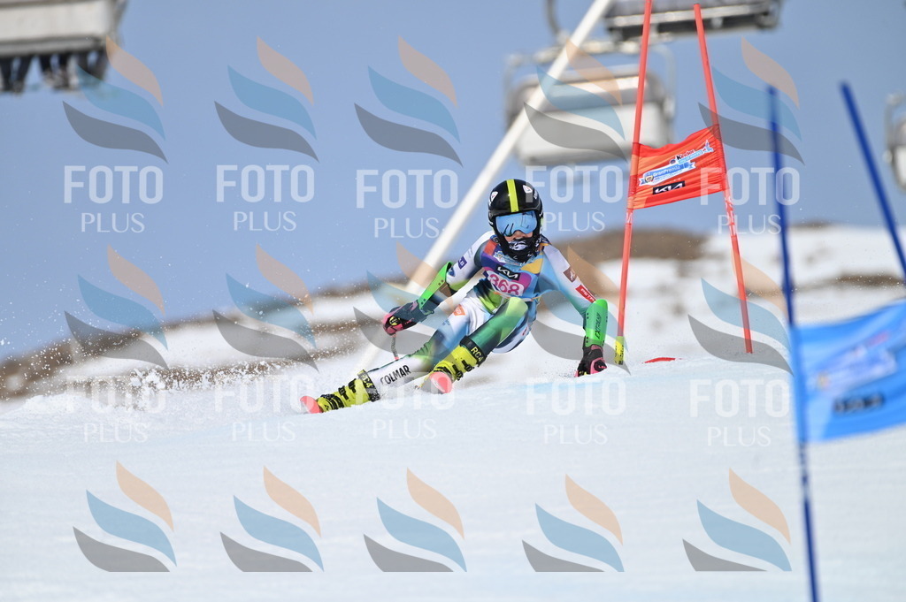 BGV_3988 | holidayphoto