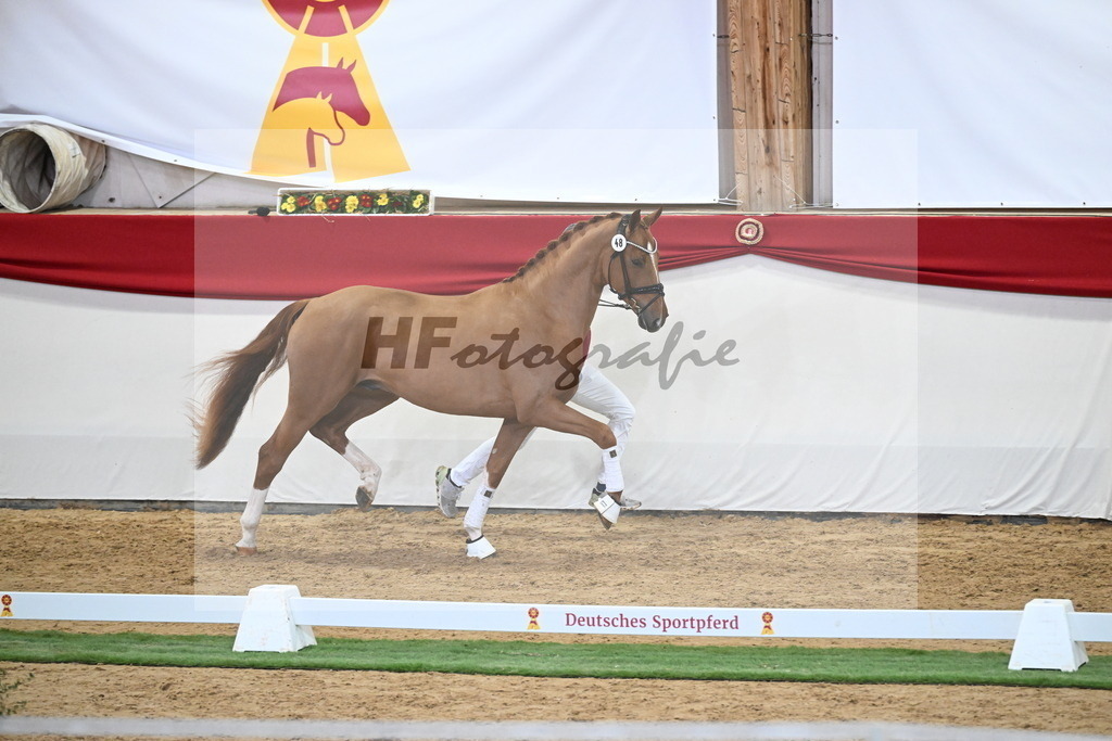 Kat.-Nr. 48 v. De Niro Gold_Schulze Averdiek_2250129 | hf-fotografie - Realizzato con Pictrs.com