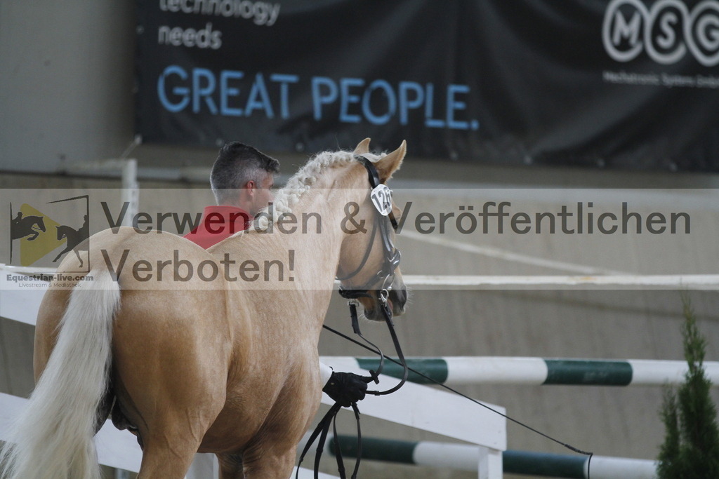 _MG_9945 | equestrian-live-com