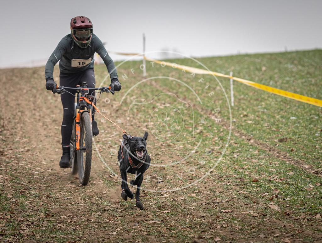 Pfotenfotografie_DV3A2401 | Hundefotografie, Tierfotograf, Pfotenfotografie, Fotoshooting Hund, Hunde Portrait, Hundesport, Hundeportraits, Heideshooting, Hunde, Sportfotograf, Hundefotograf, Turnierhundsport, THS,  - Realisiert mit Pictrs.com