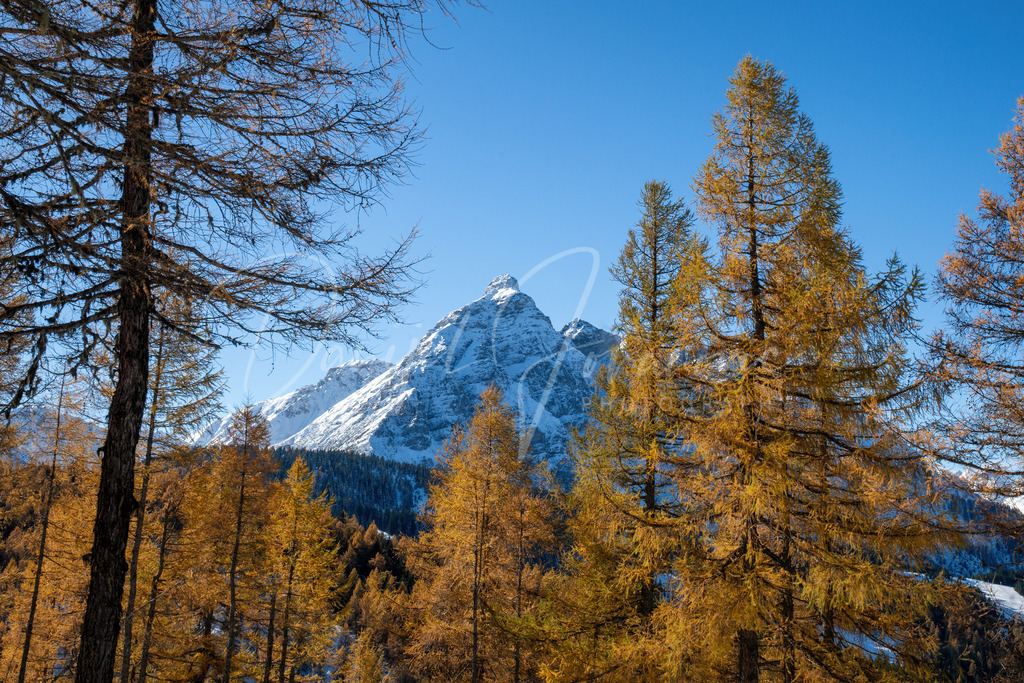 Eulenwiesen | Herbst bei den Eulenwiesen