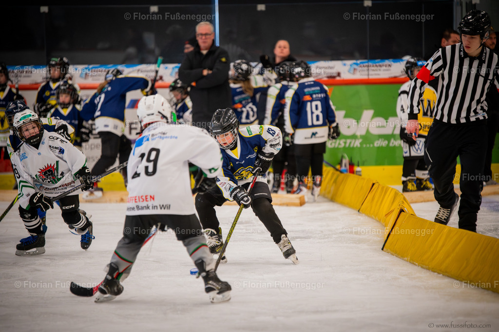 DSC_2168 | "Fussifoto.com – Ihr Ansprechpartner für hochwertige Fotografie! Entdecken Sie kreative Bilder und professionelle Dienstleistungen. Kontaktieren Sie uns für Ihre Projekte!"