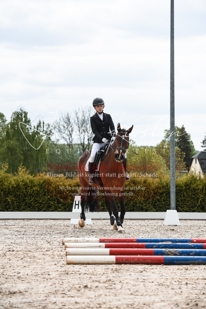 20230518_JK-Röhrsdorf-10-164 | Pferde- und Turnierfotografie in Westsachsen. Pferdeportraits, Auftragszeichnungen und intuitive Kunst.