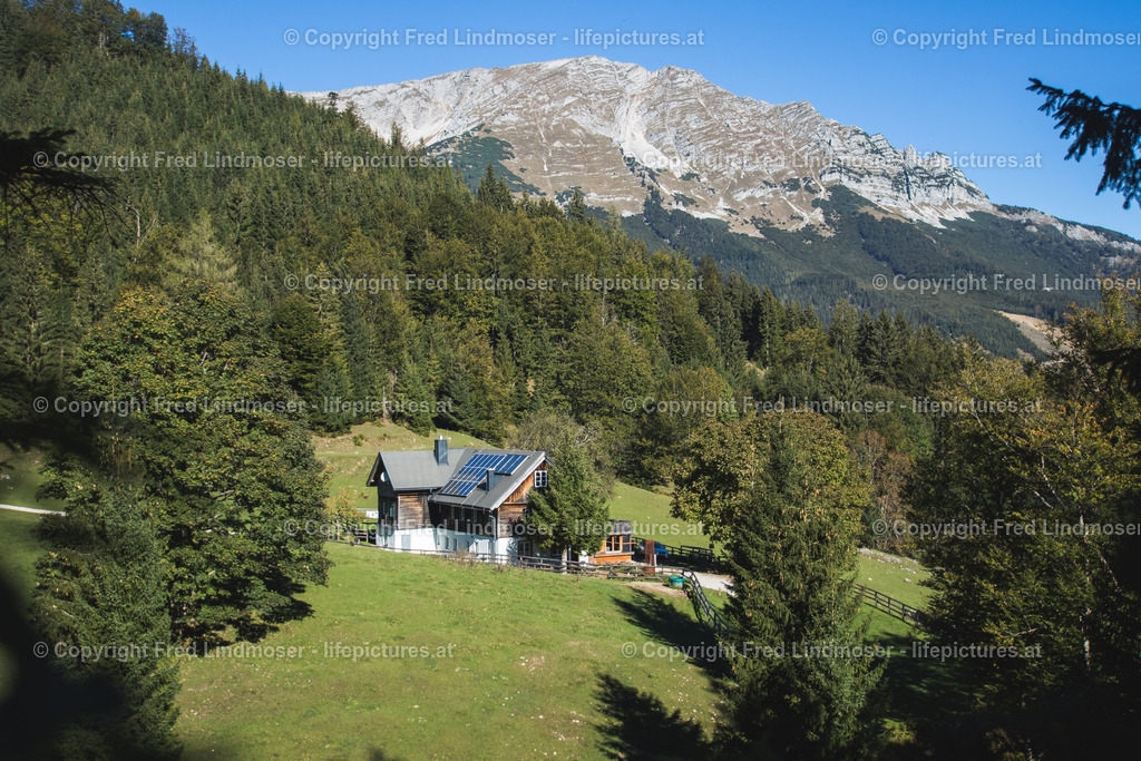 Otscher  (21) | Fotos und Fotoprodukte - Realisiert mit Pictrs.com