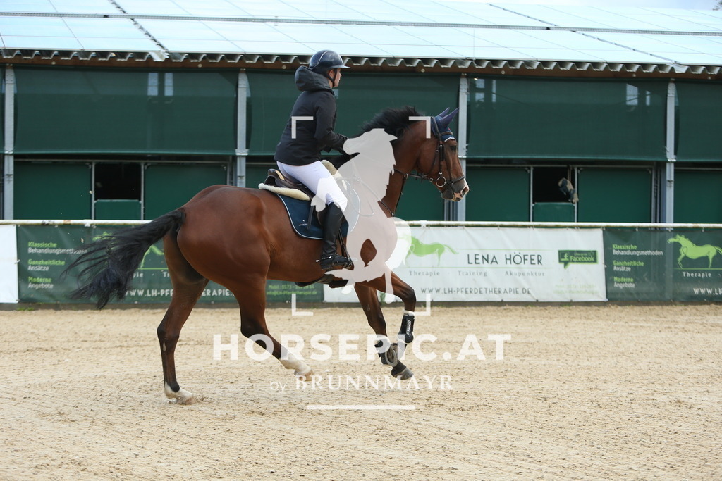 DL2Q0304 | Willkommen bei Brunnmayr - Design & Fotografie – Ihrem Spezialisten für Reitturniere und Pferdeveranstaltungen in Oberösterreich, Salzburg und Bayern! Seit über 17 Jahren sind wir leidenschaftlich dabei.