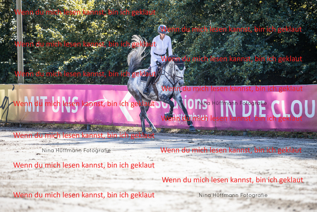 BK1A6787 | Turnierbilder Turnierfotos Nina Hüffmann Turnierfotografie Pferdefotografie Tierzeichnung Haustierzeichnung Pferdezeichnung Hundezeichnung Videograf  - Realisiert mit Pictrs.com