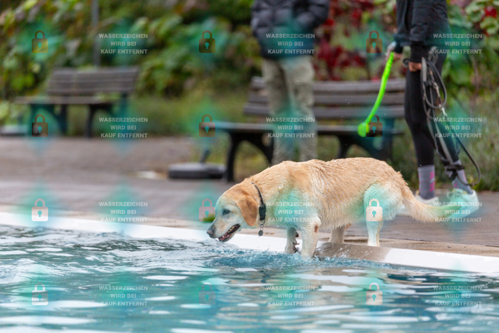 _HP_7146_1000o | HetPix, HetPix Fotodesign, Fotografie, Fotodesign, Webshop, Sportfotografie, Portraitfotografie, Onlineshop, Sportfotografie, Polch, Motorsportfotografie, Eventfotografie