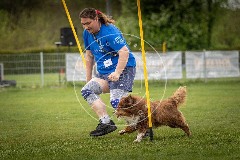 Pfotenfotografie_DV3A1963 | Hundefotografie, Tierfotograf, Pfotenfotografie, Fotoshooting Hund, Hunde Portrait, Hundesport, Hundeportraits, Heideshooting, Hunde, Sportfotograf, Hundefotograf, Turnierhundsport, THS,  - Realisiert mit Pictrs.com