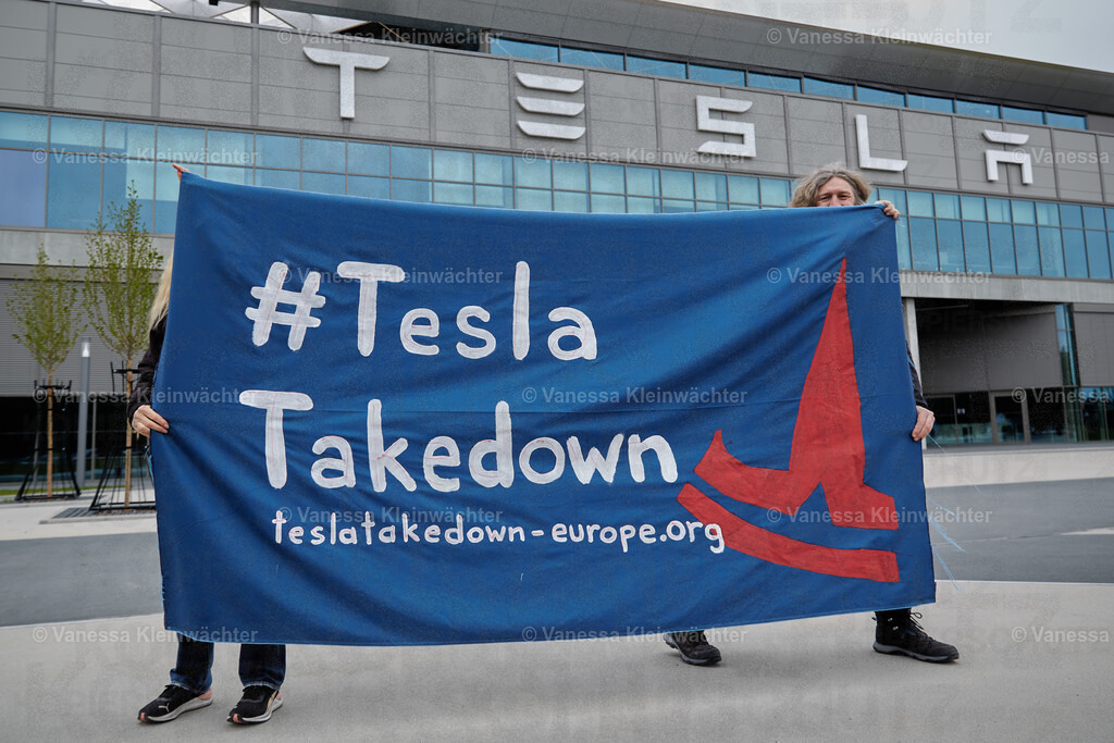 250412_TeslaWaldspaziergang_00013 | Vanessa Kleinwächter - Realisiert mit Pictrs.com