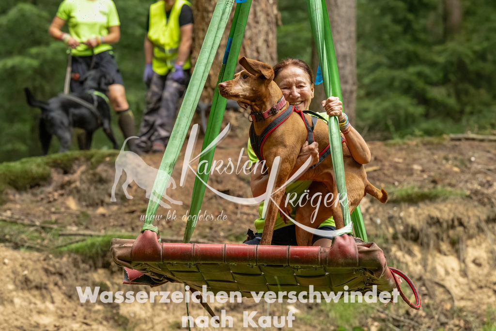 1319_ZZ92518-Bearbeitet | kk-dogfotos