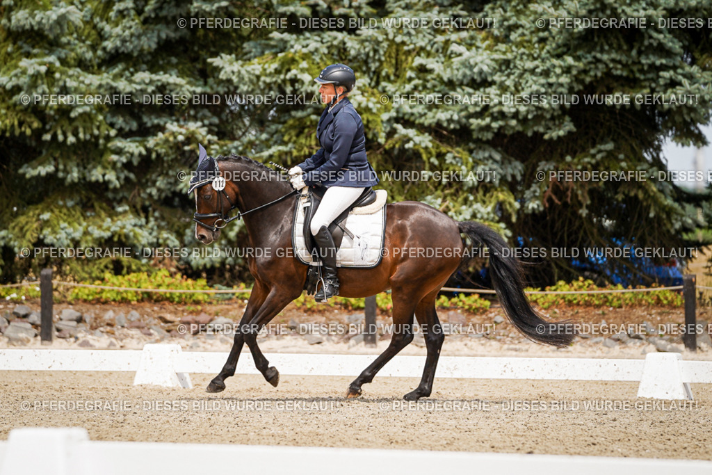 DSC04247 | Pferdegrafie