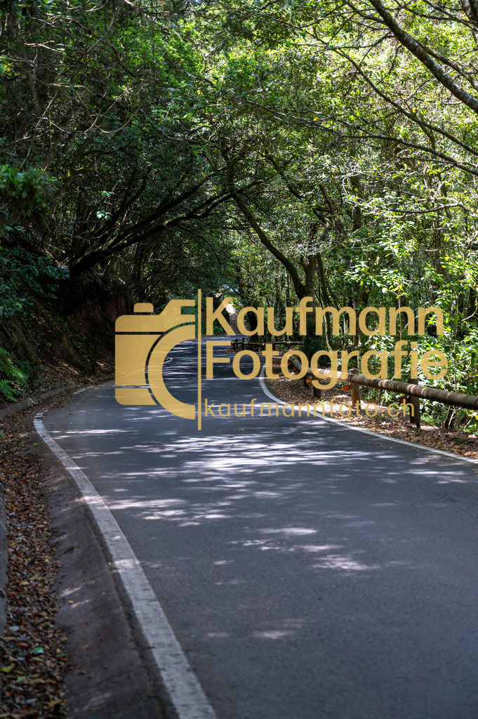 Teneriffe-7457 | kaufmannfoto - Realisiert mit Pictrs.com