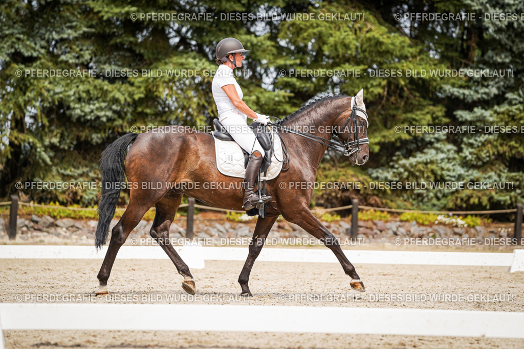 DSC06425 | Pferdegrafie