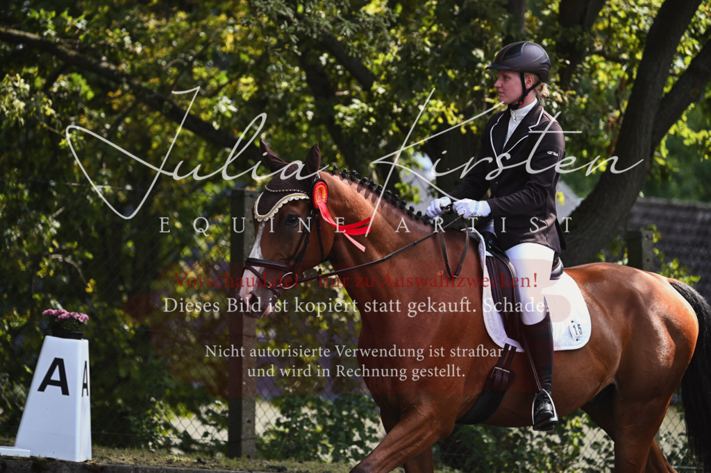 DSC_2833 | Pferde- und Turnierfotografie in Westsachsen. Pferdeportraits, Auftragszeichnungen und intuitive Kunst.