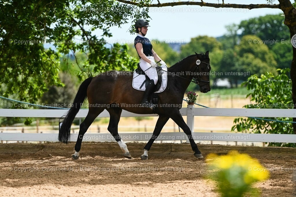 20230715_05_Dressurprüfung Kl.A++_0367 | equistock