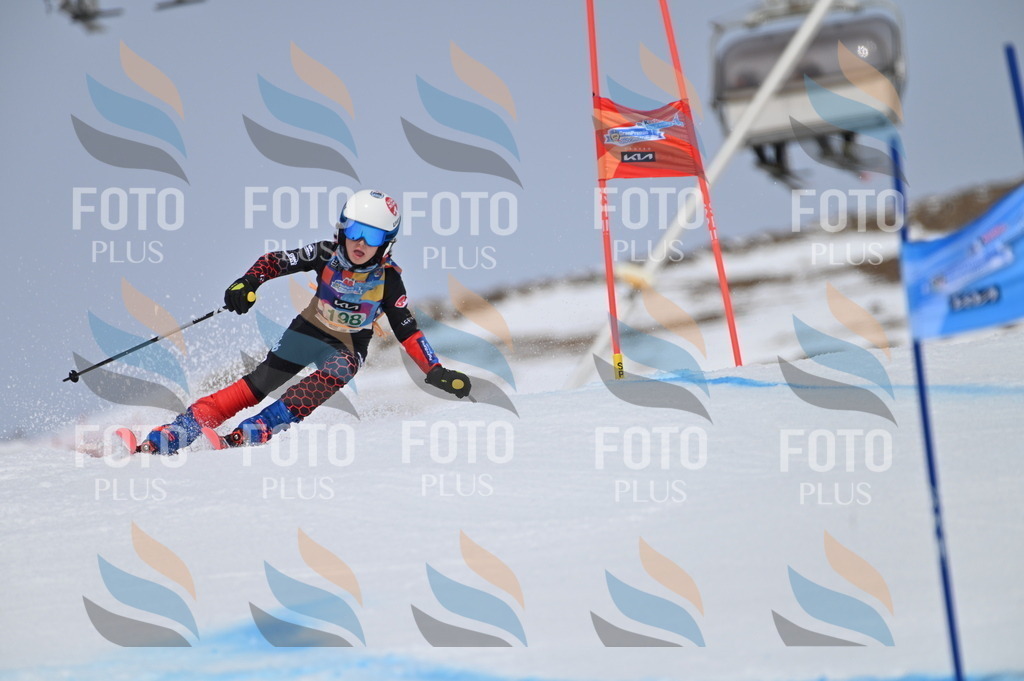 BGV_3801 | holidayphoto