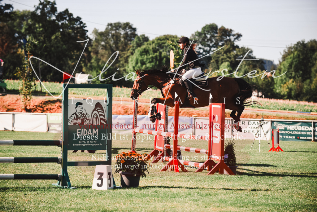DSC_2228 | Pferde- und Turnierfotografie in Westsachsen. Pferdeportraits, Auftragszeichnungen und intuitive Kunst.