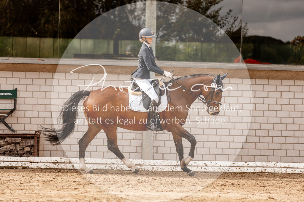 3I6A7133 | Stimmungsvolle Portraits und Reitsportfotografie im Ruhrgebiet und im Münsterland.

Pferdefotografie, Hundefotografie, Tierfotografie, Reportagen, Portraits von Tier und Mensch, Turnierfotografie in Bochum, Recklinghausen, Marl, Haltern am See, Dülmen.. - Realisiert mit Pictrs.com